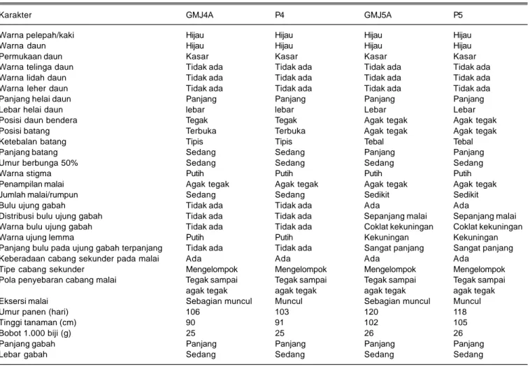 Tabel 1. Beberapa karakter morfologi dan agronomi GMJ4A dan P4 serta GMJ5A dan P5.