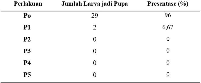 Tabel 2 Hasil pengamatan jumlah larva yang berhasil menjadi Pupa pada 108 jam setelah