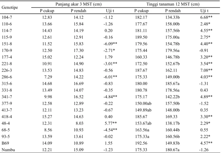 Tabel 1. Keragaan panjang akar 3 MST dan tinggi tanaman galur-galur inbrida sorgum 12 MST pada kondisi P cukup dan P  rendah