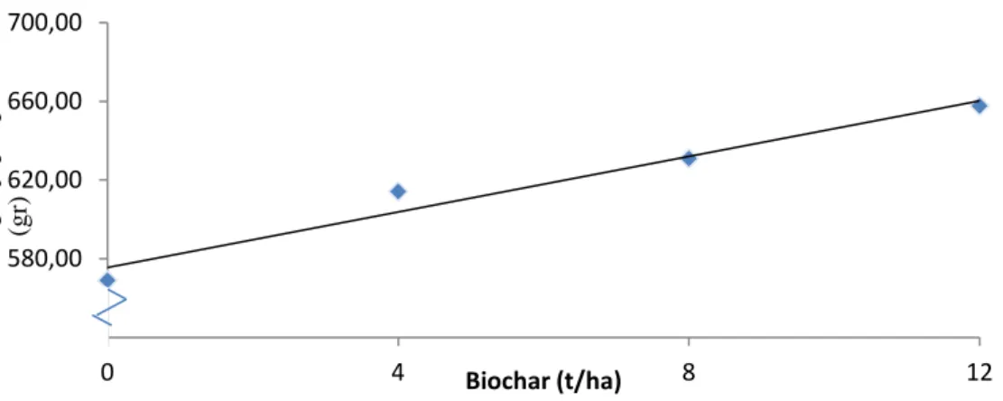 Gambar 4. Hubungan antara pemberian biochar dengan bobot kering biji per plot  SIMPULAN 
