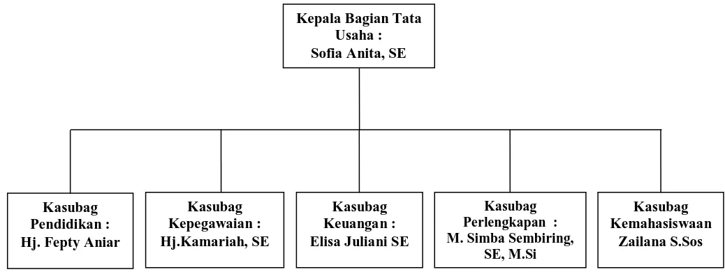 Gambar 2.2 Bagan Struktur Organisasi Tata Usaha Fakultas Ekonomi            Universitas Sumatera Utara Sumber     : Tata Usaha Fakultas Ekonomi Universitas Sumatera Utara  