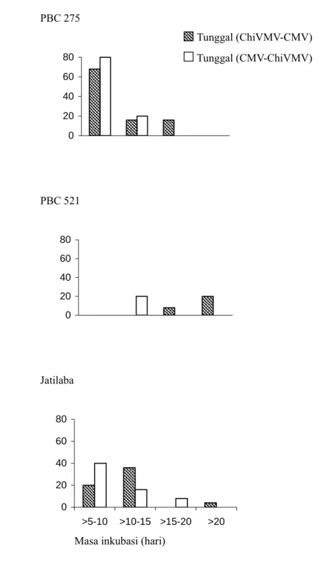 Gambar 1.  Masa inkubasi virus pada genotipe PBC 275, PBC 521 dan Jatilaba dengan perlakuan metode  inokulasi tunggal