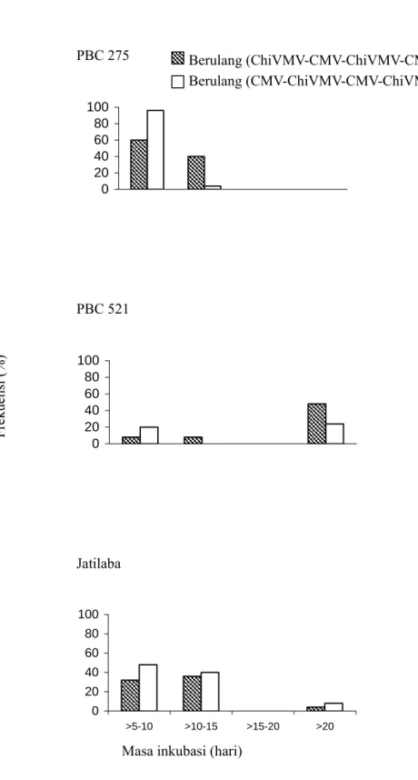 Gambar 2.  Masa inkubasi virus pada genotipe PBC 275, PBC 521 dan Jatilaba dengan perlakuan metode  inokulasi berulang