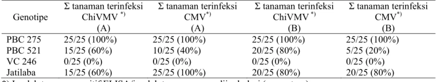 Tabel 2.   Kejadian penyakit pada empat genotipe cabai pada perlakuan metode   inokulasi   berulang  Genotipe  Σ tanaman terinfeksi ChiVMV *)  (A)  Σ tanaman terinfeksi CMV*)(A)  Σ tanaman terinfeksi ChiVMV *)(B)  Σ tanaman terinfeksi CMV*)(B)  PBC 275  25
