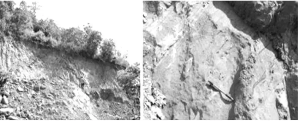 Gambar 9. Singkapan batuan di daerah Samoling, sebelah kiri pengamatan dari jauh  sedangkan sebelah kanan pengamatan detil (Sumber: Dok