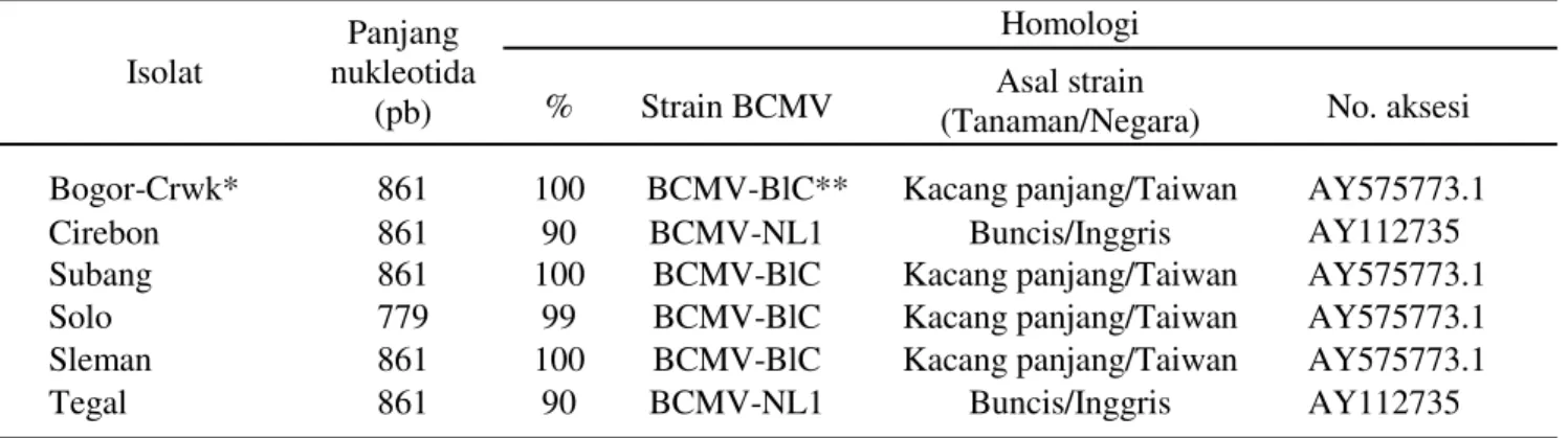 Tabel 2. Hasil BLAST runutan nukleotida isolat BCMV dan persentase homologinya dengan isolat BCMV dari GenBank