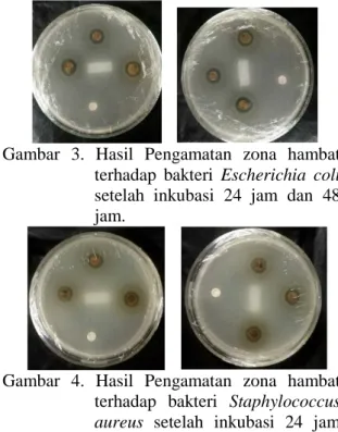 Gambar 3. Hasil Pengamatan zona hambat  terhadap bakteri Escherichia coli  setelah inkubasi 24 jam dan 48  jam