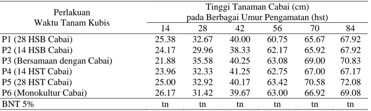 Tabel  1.  Tinggi  tanaman  cabai  akibat  perlakuan  waktu  tanam  kubis  sebagai  tanaman  sela  dalam  sistem tumpangsari dengan cabai 