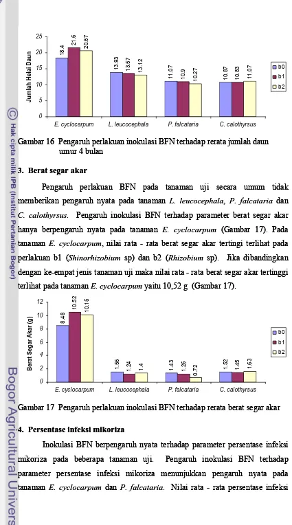 Gambar 16  Pengaruh perlakuan inokulasi BFN terhadap rerata jumlah daun Gambar 16  Pengaruh perlakuan inokulasi BFN terhadap rerata jumlah daun   