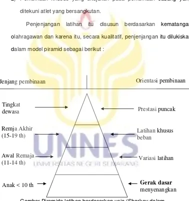 Gambar Piramida latihan berdasarkan usia (Sharkey dalam  Rusli Lutan, 2000 : 48) 