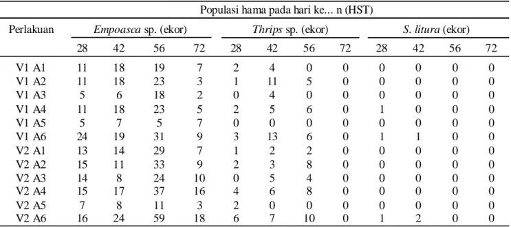 Tabel  3. Populasi hama Empoasca sp., Thrips sp. dan S. litura sp. setelah aplikasi cendawan L
