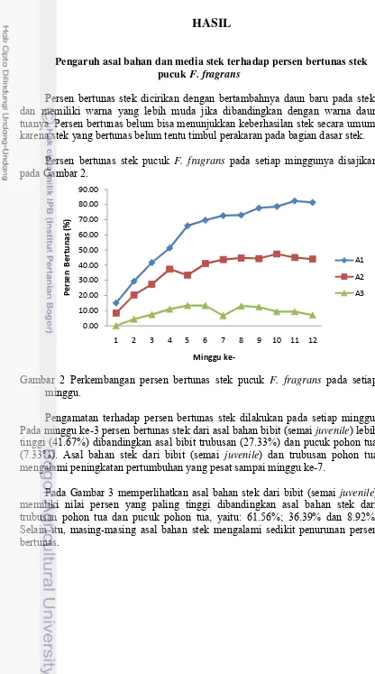 Gambar 2 Perkembangan persen bertunas stek pucuk  F. fragrans pada setiap 