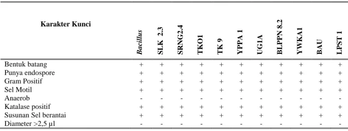 Tabel 1. Profile matching antara karakter kunci Bacillus dengan karakter isolat uji. 