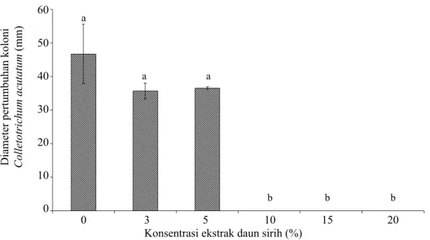 Gambar 3  Pertumbuhan koloni C. acutatum pada medium ADK yang mengandung konsentrasi  ekstrak daun sirih (EDS)
