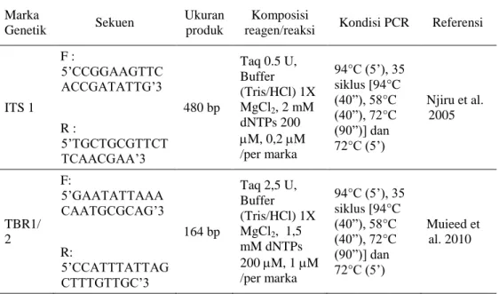 Tabel 2.  Kondisi  PCR  dan  susunan  reagen/reaksi  untuk  mengamplifikasi  fragmen  DNA  T