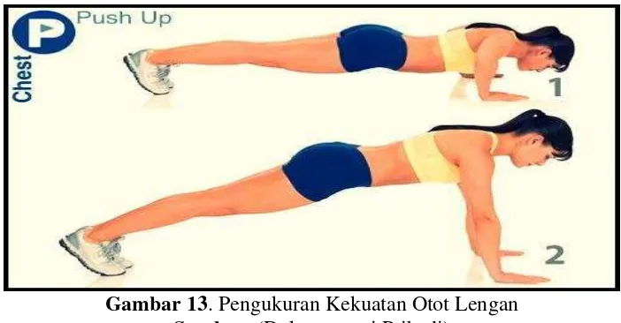 Gambar 13. Pengukuran Kekuatan Otot Lengan 