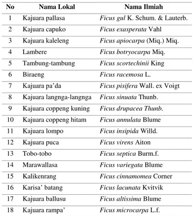 Tabel 1. Hasil Identifikasi Tumbuhan Ficus 
