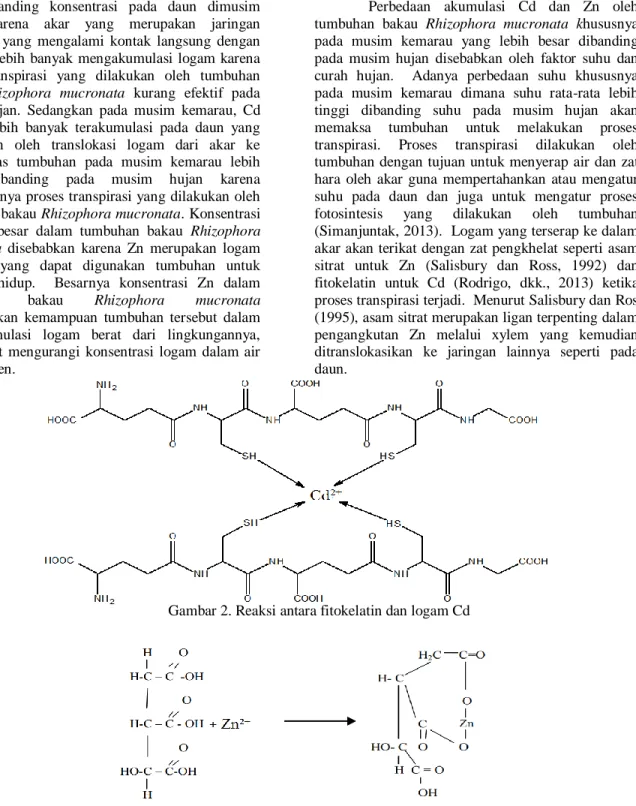 Gambar 2. Reaksi antara fitokelatin dan logam Cd 