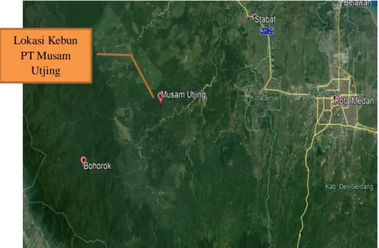 Gambar 5.2. Peta Lokasi Perkebunan PT Musam Utjing  5.1.2.3 Kondisi Lingkungan Sekitar 