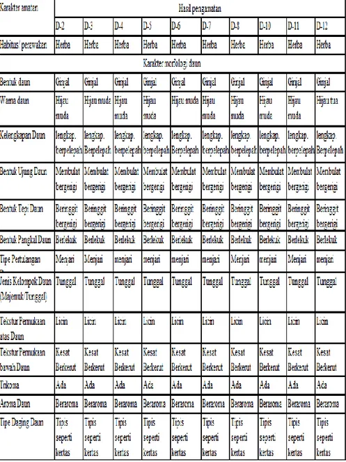 Tabel  4.2  Karakter  Morfologi  Kualitatif  Sampel  Pegagan  (Centella  asiatica  (L.)  Urban.)  Desa  Deles  Kecamatan  Bawang  Kabupaten Batang 