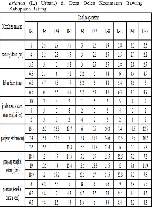 Tabel  4.4  Karakter  Kuantitatif  Morfologi  Pegagan  (Centella  asiatica  (L.)  Urban.)  di  Desa  Deles  Kecamatan  Bawang  Kabupaten Batang 