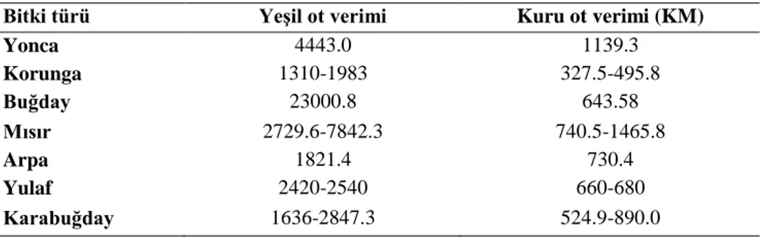 Çizelge 2.3. Karabuğdayın yaygın olarak kullanılan bazı yem kaynakları ile verim  bakımından karşılaştırılması (kg/da) (Kara ve Yüksel, 2014)