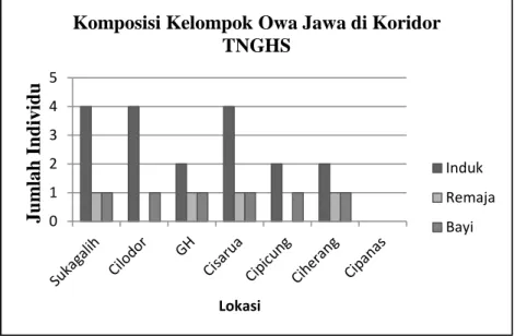 Gambar 4.  Jumlah dan Komposisi Kelompok Owa Jawa di Koridor TNGHS  Komposisi kelompok owa jawa yang teridentifikasi 