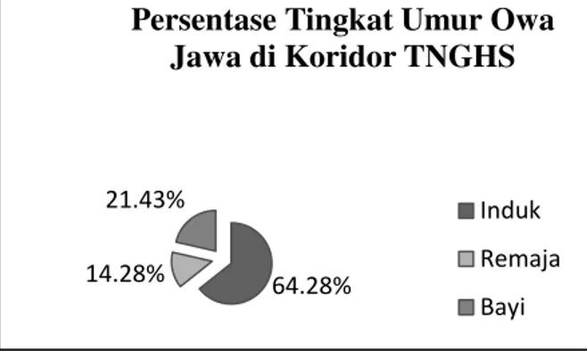 Gambar 6.  Persentase Tingkatan Umur Owa Jawa di Koridor TNGHS  Tingkatan umur owa jawa di koridor TNGHS dapat 