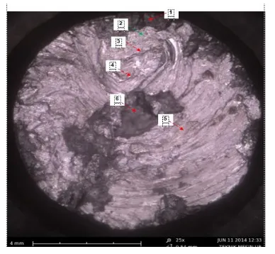 Gambar 11 . Foto SEM penampang patah spesimen fatigue suhu -19oC dengan pembesaran 25x 