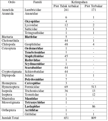 Tabel 7. Kelimpahan Makrofauna tanah  pada Plot Pengamatan 