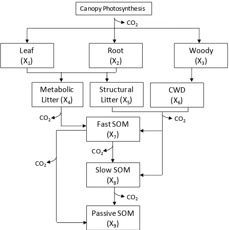 Fig. 1. Diagram of the carbon processes of the CASACNP modelon which Eq. (1) is based