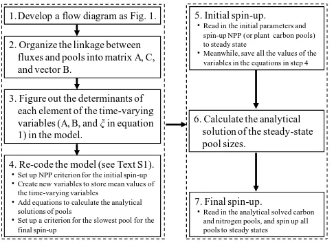 Fig. 2. The spin-up strategies of the spin-up method with the semi-analytical solution (SAS) used in this study.