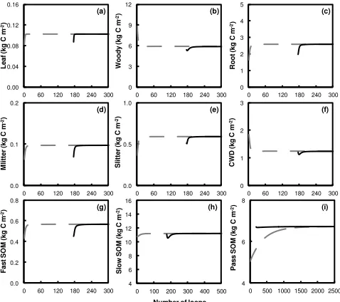 Fig. 4. Carbon-only simulations: carbon state trajectories for allcarbon pools at Harvard Forest site with different spin-up meth-ods from traditional procedure (dotted gray lines) and with the SAS(straight black lines).