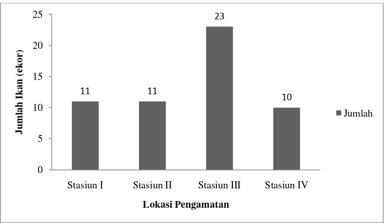 Gambar 11. Histogram distribusi Ikan Lemeduk jantan dan betina berdasarkan kelas ukuran panjang di Sungai Belumai, Sumatera Utara 