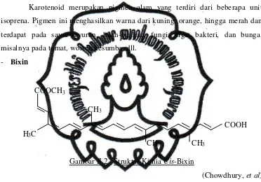Gambar II.2.  Struktur Kimia Cis-Bixin 