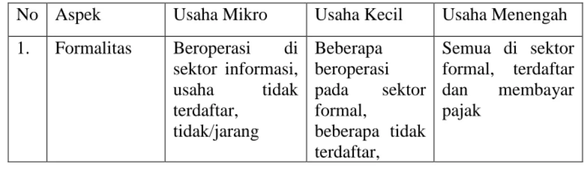 Tabel 2.2  Perbedaan Usaha Mikro, Kecil dan Menengah 