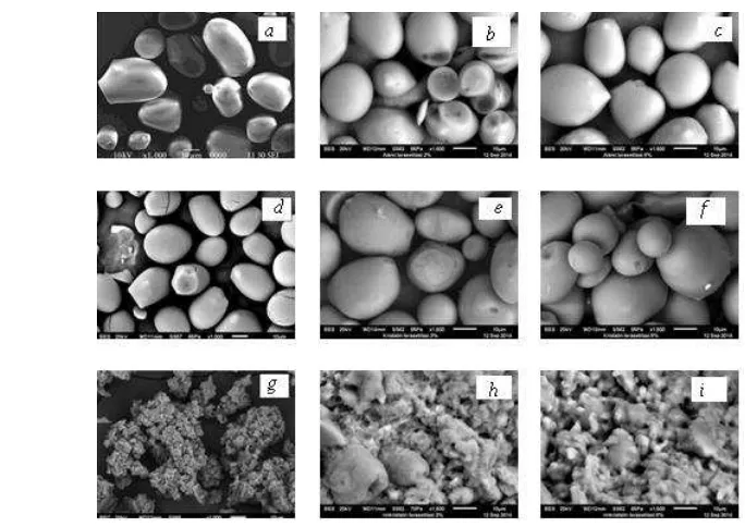 Gambar 13 Bentuk granula hasil pengujian SEM untuk (a) pati alami (b) pati alami Daya Cerna Pati terasetilasi 3% (c) pati alami terasetilasi 6% (d) pati kristalin (e) pati kristalin terasetilasi 3% (f) pati kristalin terasetilasi 6% (g) pati nanokristalin (h) pati nanokristalin terasetilasi 3% dan (i) pati nanokristalin terasetilasi 6% 