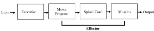 Figure 4: The expanded structure of the information processing con-trol system, including the executive and eﬀector.