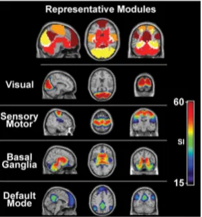 Figure 6: Neuroimaging data shows patterns of activation in areas