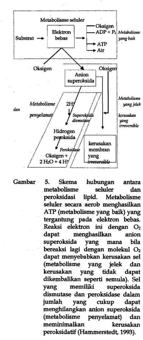 Gambar 5. 