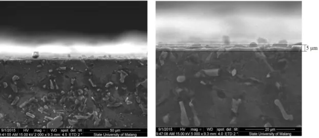 Gambar 4. Mikrograf SEM tampang-lintang cuplikan AlSiCu setelah dinitridasi ion 