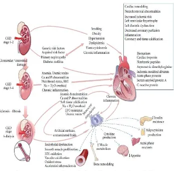 Gambar 2.3. Patogenesis gagal ginjal kronik dan penyakit  kardiovaskular.14 