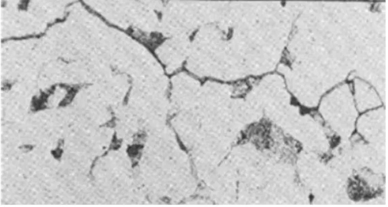 Gambar 2.6 Caustic Embrittlement (500x) 