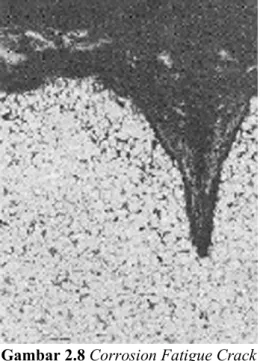 Gambar 2.8 Corrosion Fatigue Crack 