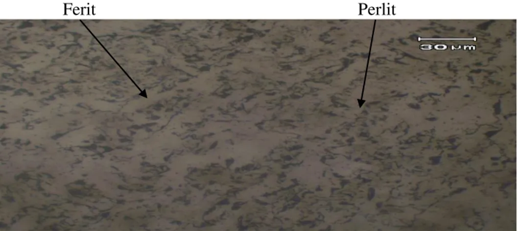 Gambar 2.18. Struktur mikro daerah lasan spesimen yang di annealing 
