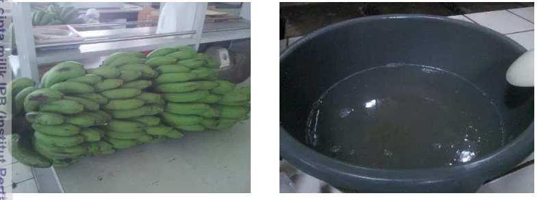 Gambar 1 Proses persiapan buah; kiri: pisang ambon yang siap disortasi, 