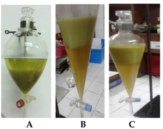 Gambar 2. Ekstraksi cair-cair A. n-heksana,  B.etil asetat, C.aseton, D. metanol, E. asam 