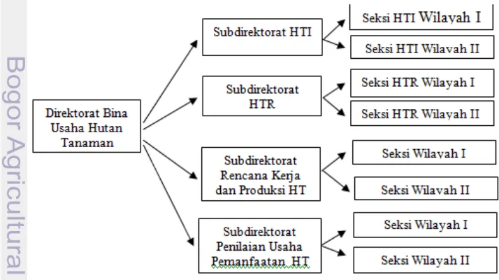 Gambar 1  Struktur Organisasi Direktorat Bina Usaha  Hutan Tanaman 