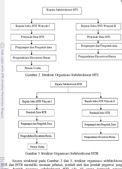 Gambar 2  Struktur Organisasi Subdirektorat HTI 