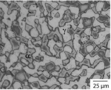 Gambar 2.17 Struktur Mikro AR SDSS Tanpa  Perlakuan (Fargas, 2013) 